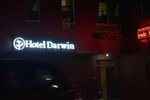 Отель Darwin