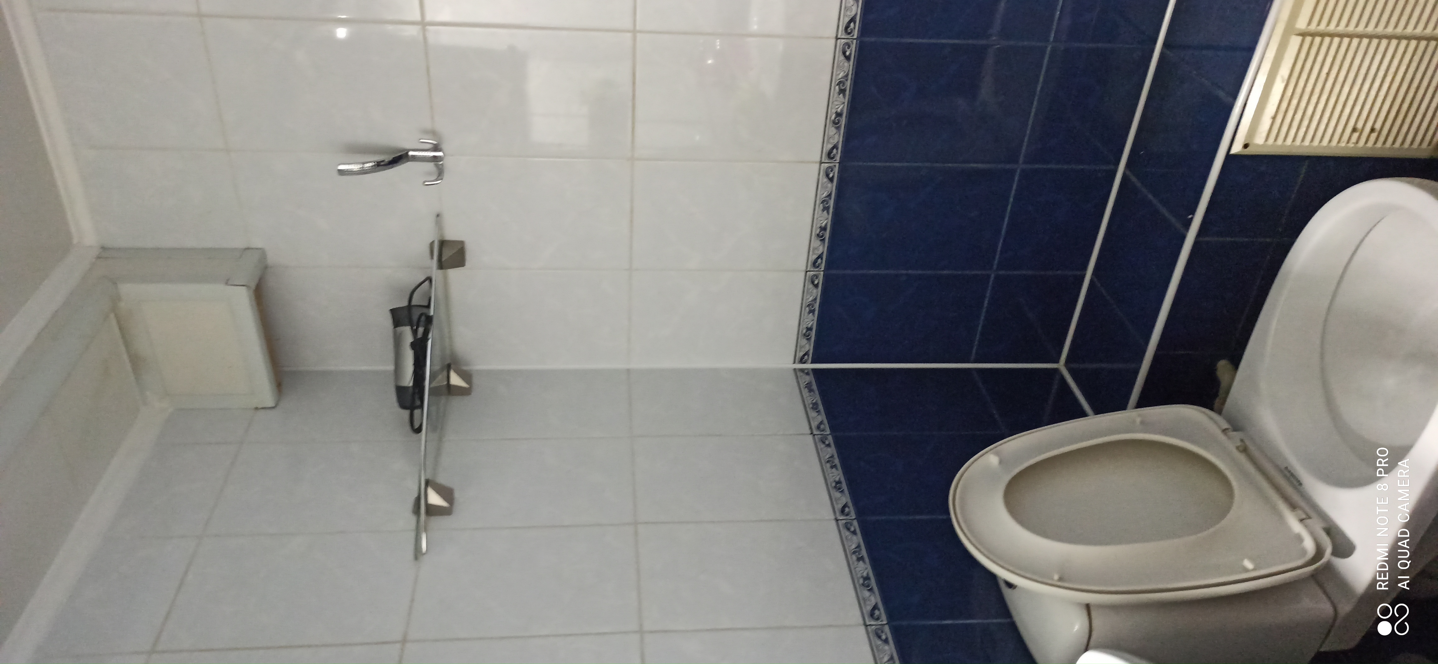 Фото Эллинг