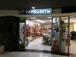 Magazin podarkov i ukrasheny Samotsvety (ploshchad Lenina, 4), jewelry shop