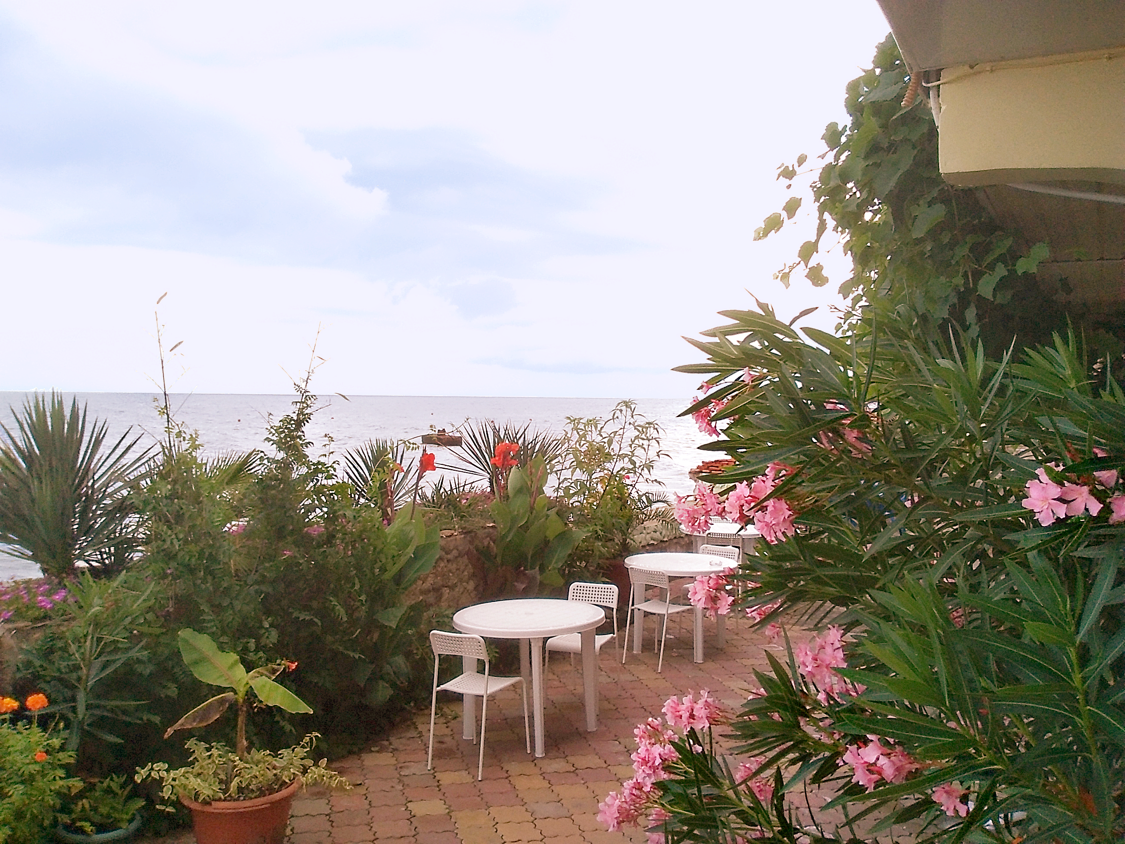 Фото Солнечный