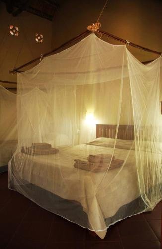 Фото Olga's the Italian Corner