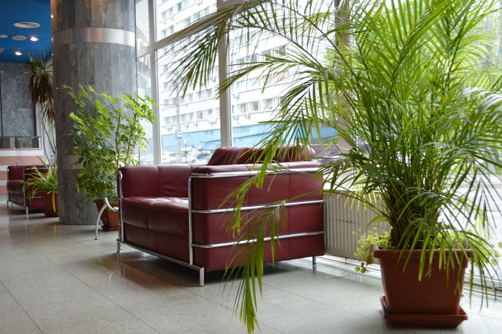 Фото Академическая