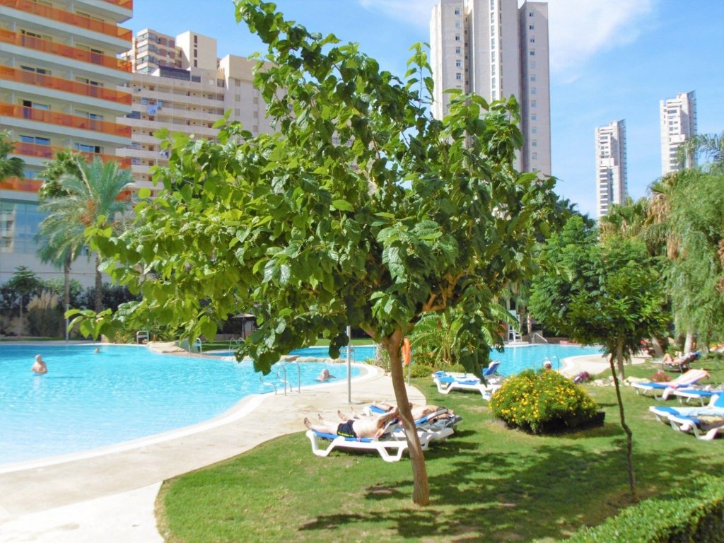 Фото Apartment Los Ranchos 4-1