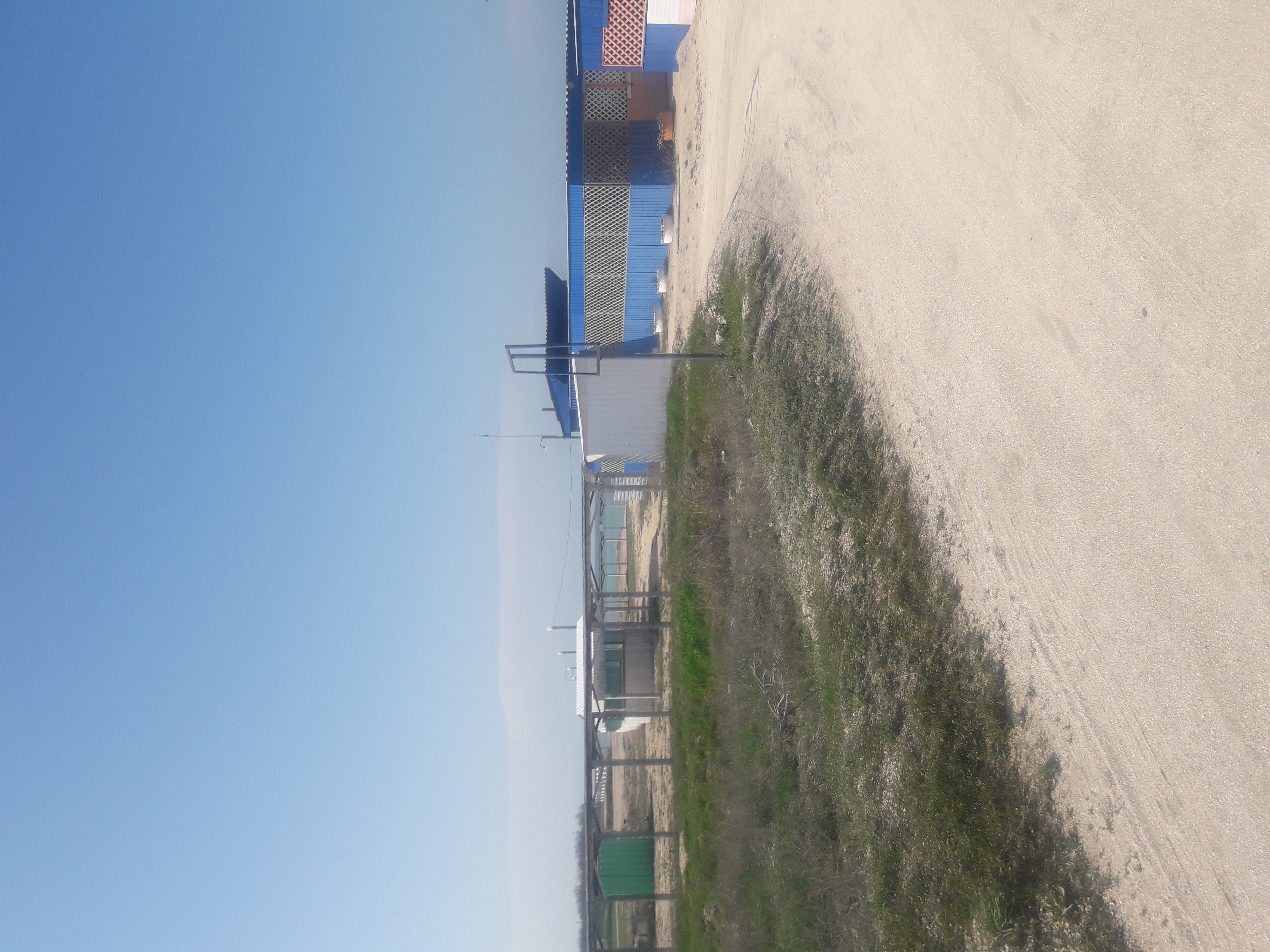 Фото Родной берег