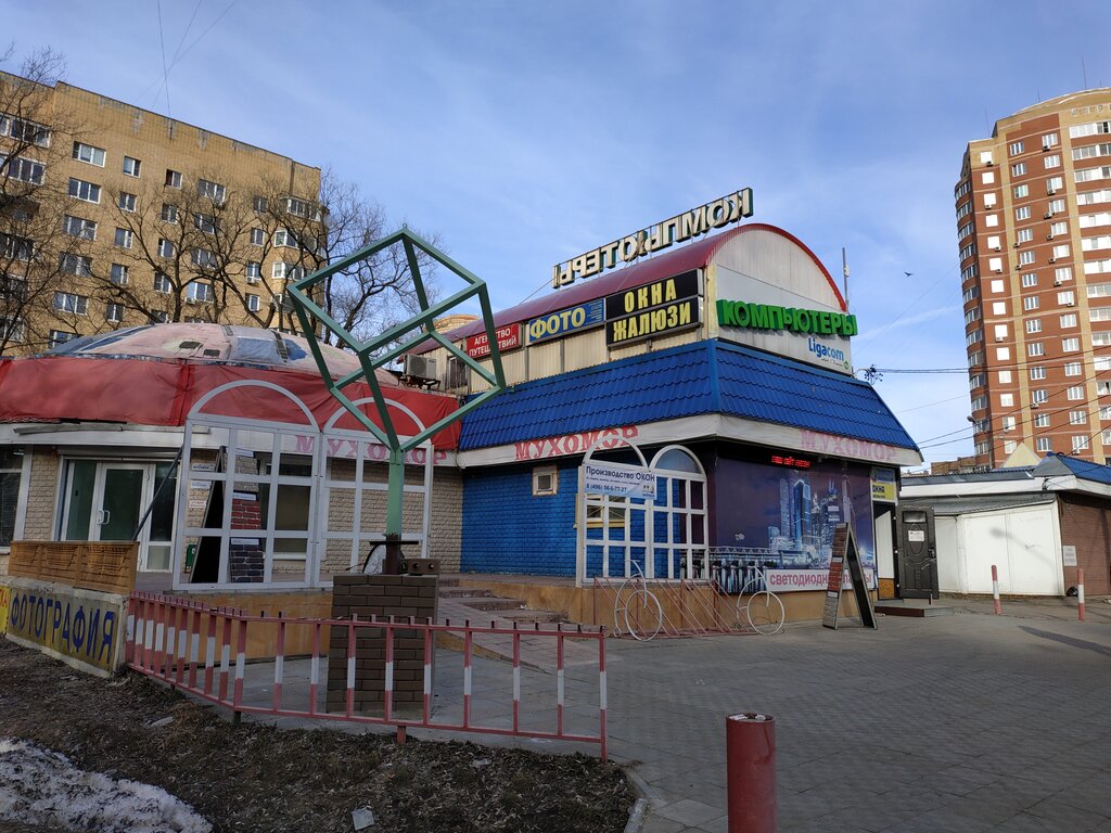 Computer store Muhomor, Shelkovo, photo