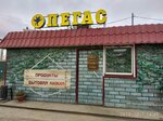Пегас (Zhornitskogo Street, 13), tienda de productos