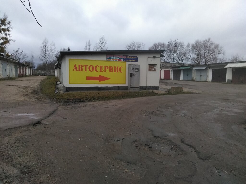 Car alarm Zubovich L. P. Ip, Brest, photo