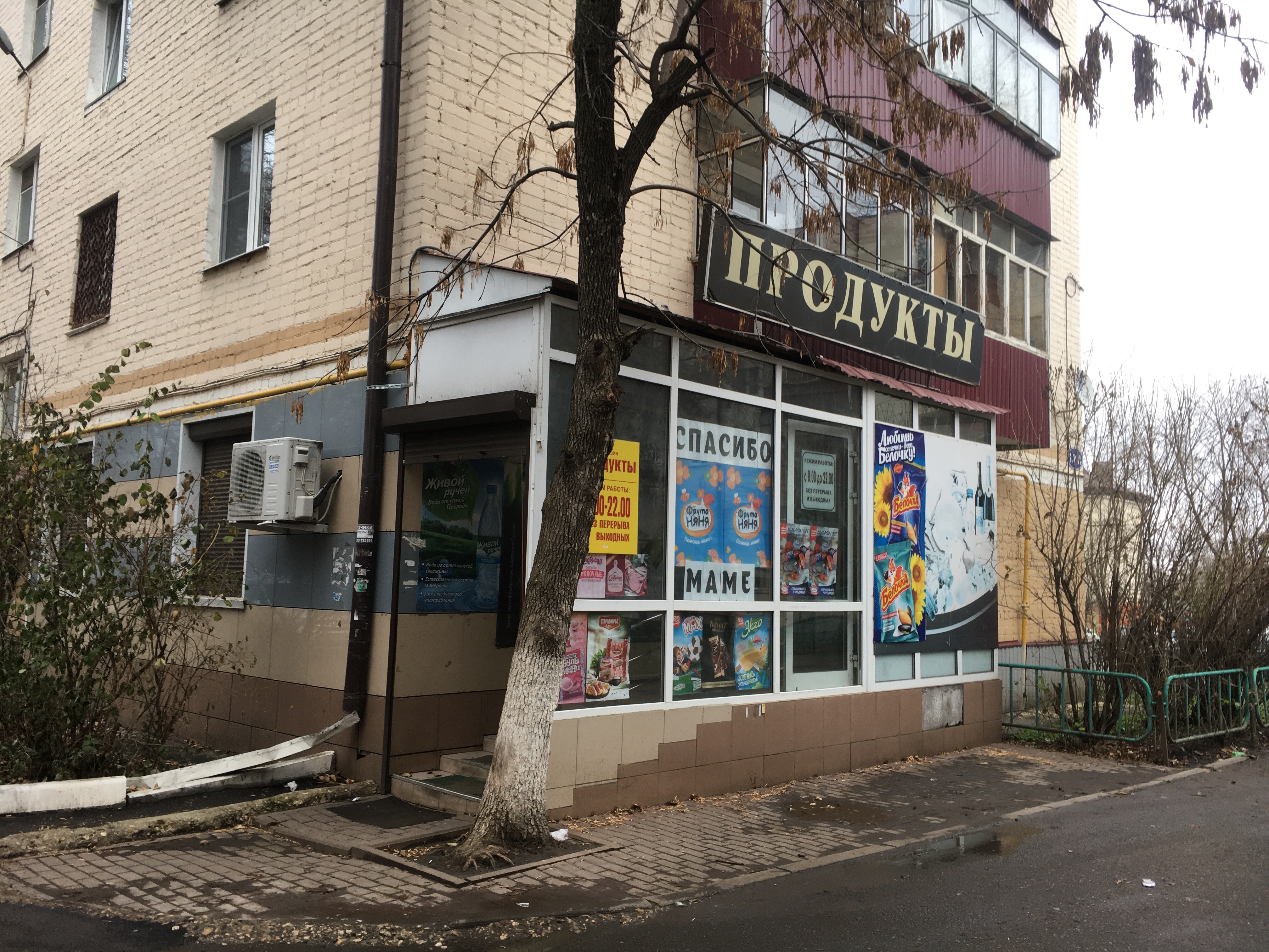 Море more ул полежаева 157 саранск фото
