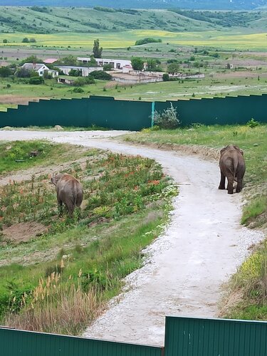 Taigan Lion Park Location Map Lion Park Taigan — Yandex Maps