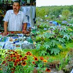 Все для растений (Московская улица, 6), seed shop