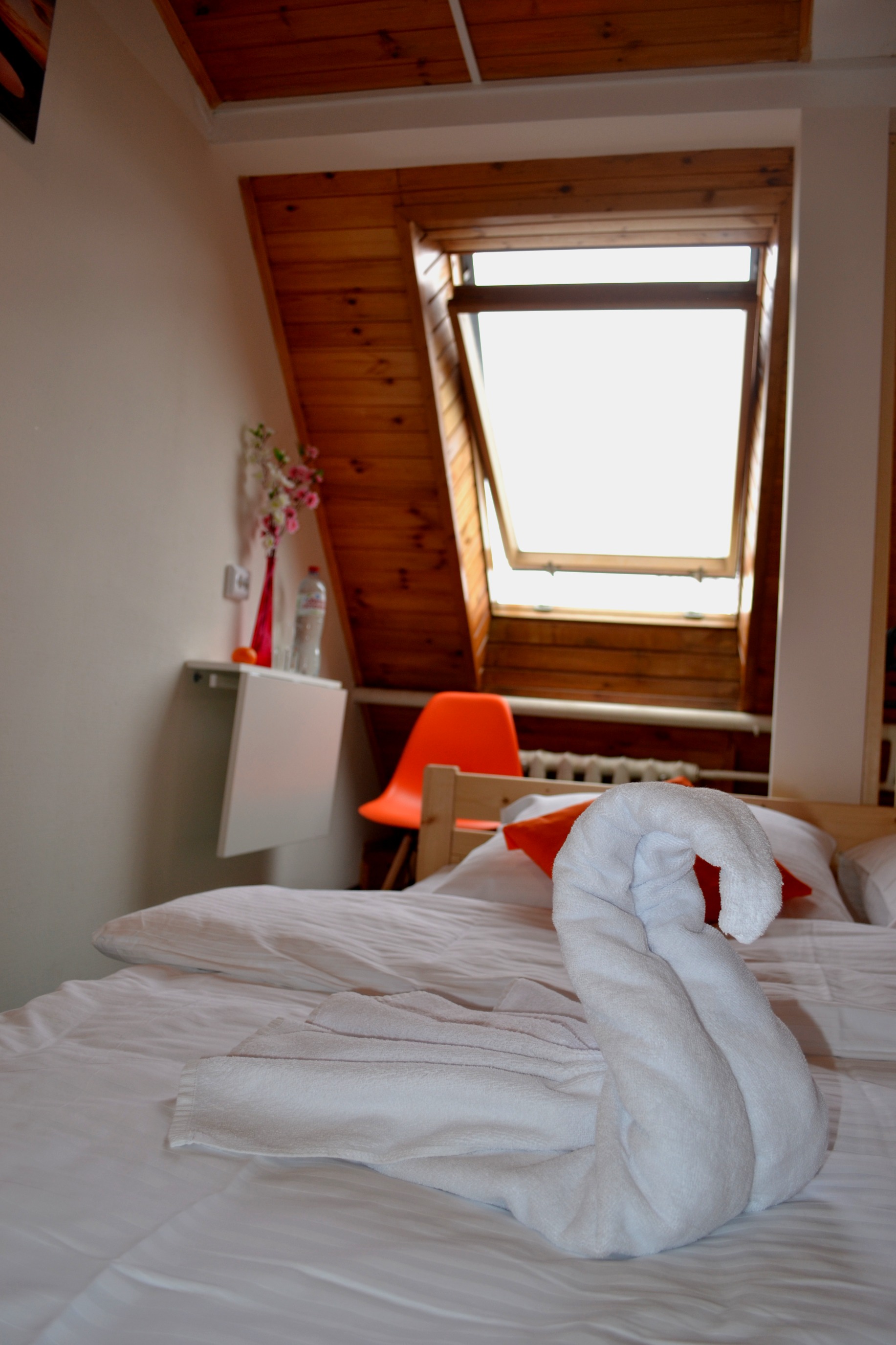 Фото ЯРанга