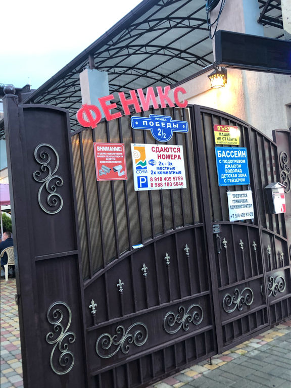 Фото Феникс