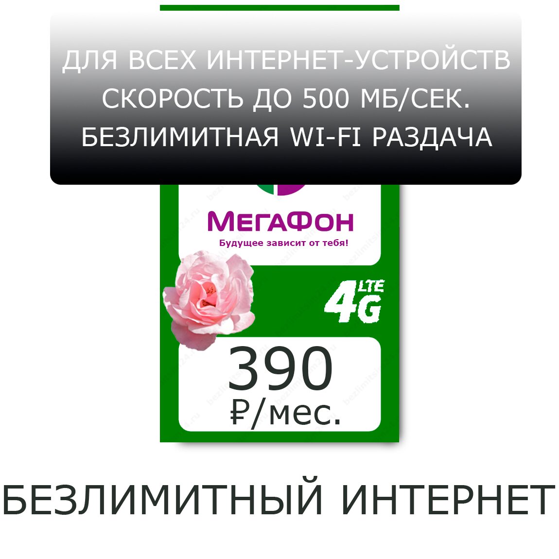Интернет Магазин Москва 24