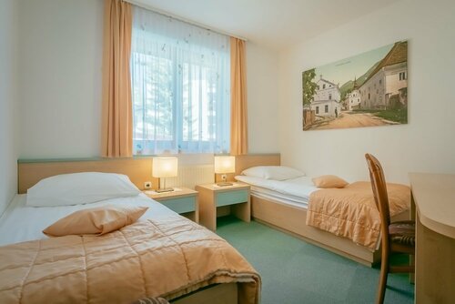 Гостиница Hotel Miklic в Краньска-Горе