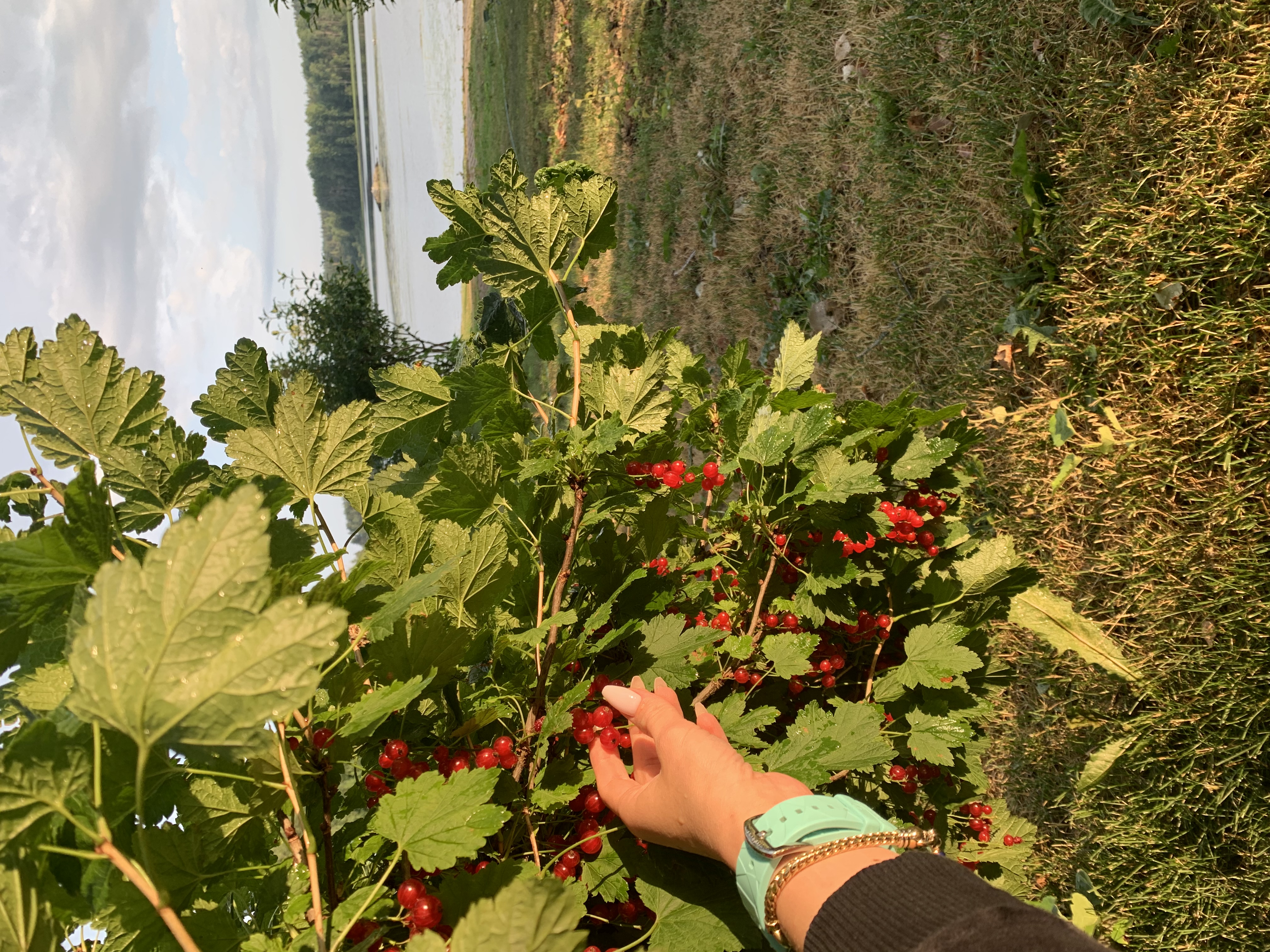 Фото Имение Богатыри