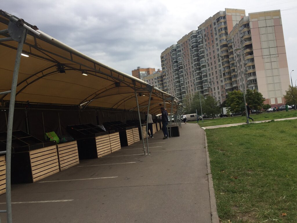 Market Yarmarka vykhodnogo dnya, Moscow, photo