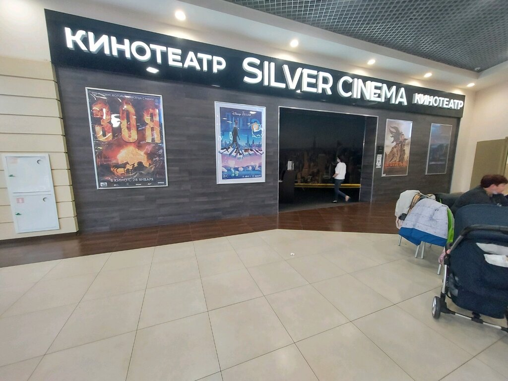 Silver cinema, кинотеатр, Святоозёрская ул., 1А, Москва, Россия