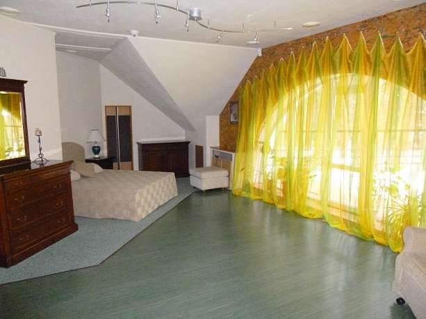 Фото Сосны плюс