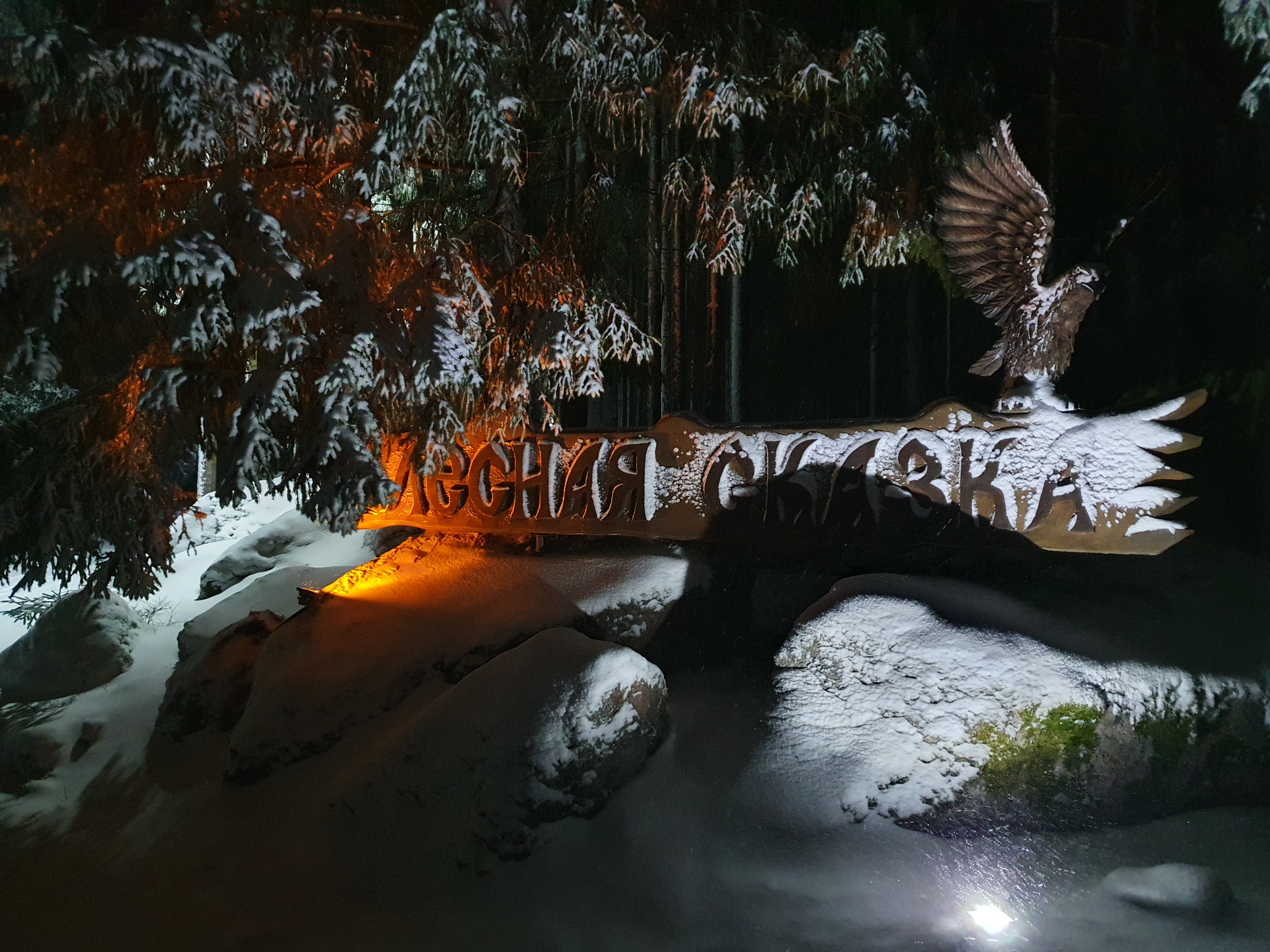 Фото Лесная сказка