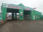 Volkovyskspecautotrans (Kastrychnickaja Street, 149), transport company, car depot