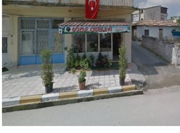 Flower shop Gözde Çiçek Evi, Erzin, photo