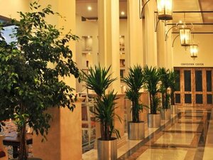 Гостиница Ramada Plaza by Wyndham Mardin