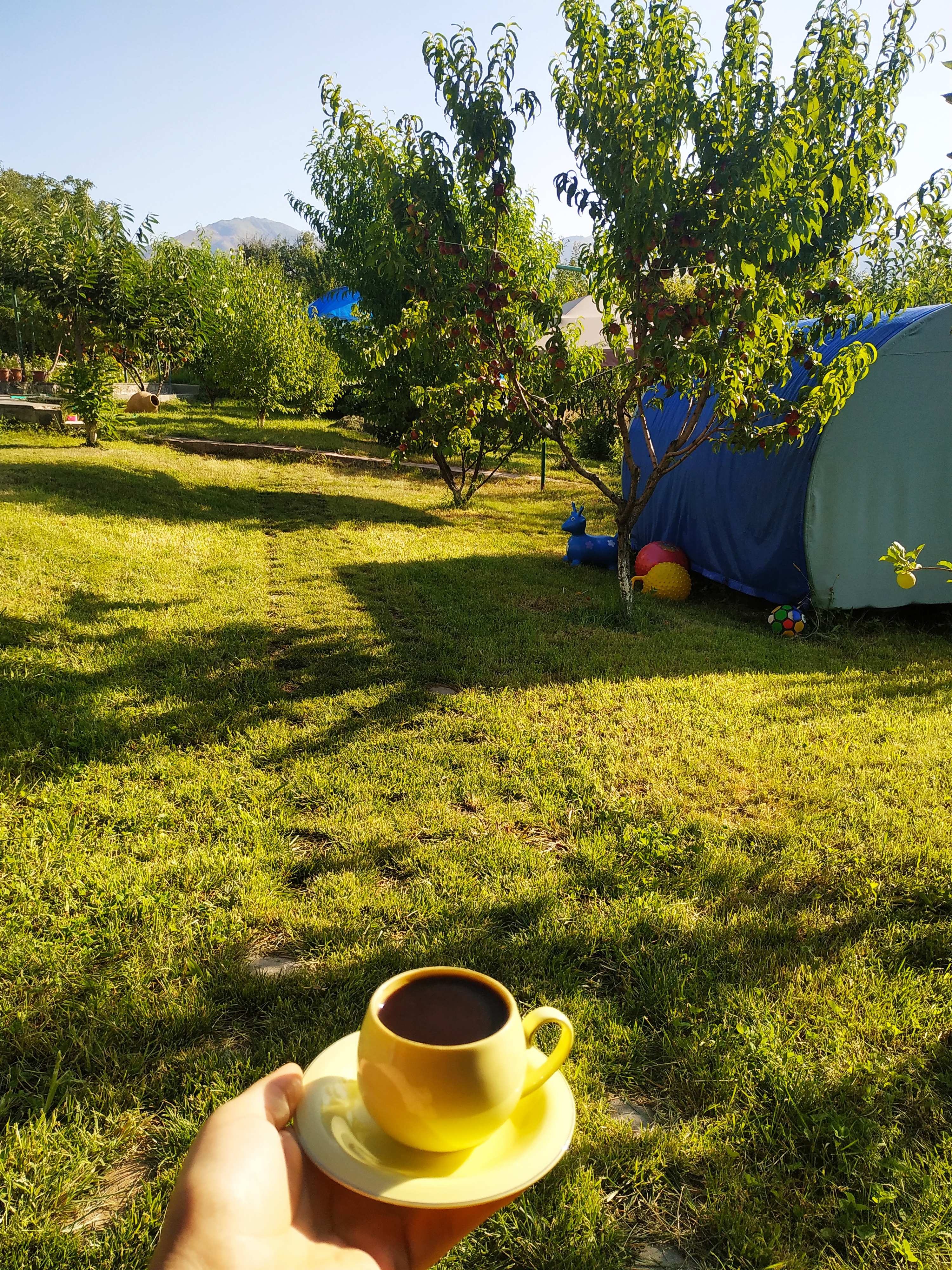 Фото Guest house Nataly