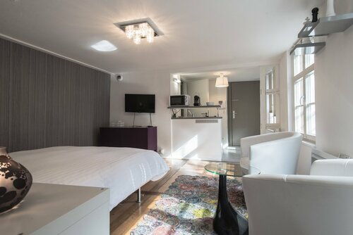 Апартаменты 24b Appartements des Orfèvres в Страсбурге