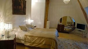 Chateau Le Sallay (Bourgogne-Franche-Comté, Nièvre, Arrondissement de Nevers, Saincaize-Meauce, Le Sallay), hotel