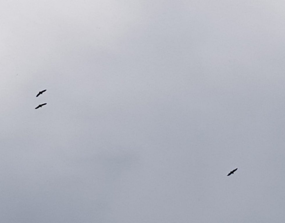 Фото Орлиный утёс Кёнделен