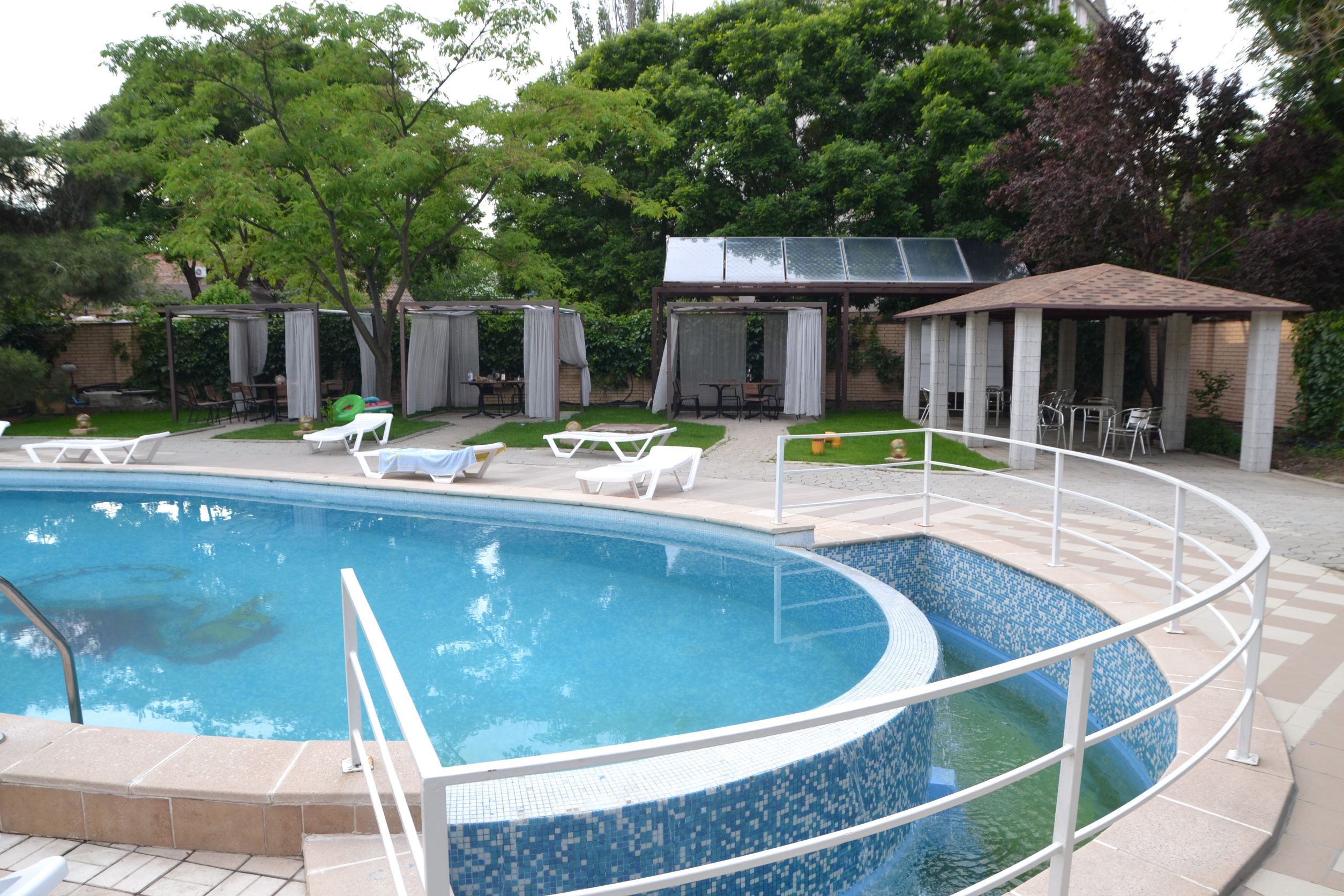 Фото Морской конек