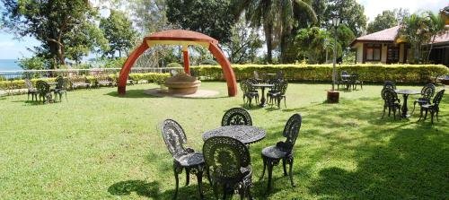 Фото Megapode Nest