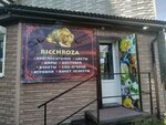 Ricchroza (Neybuta Street, 63В), flower shop