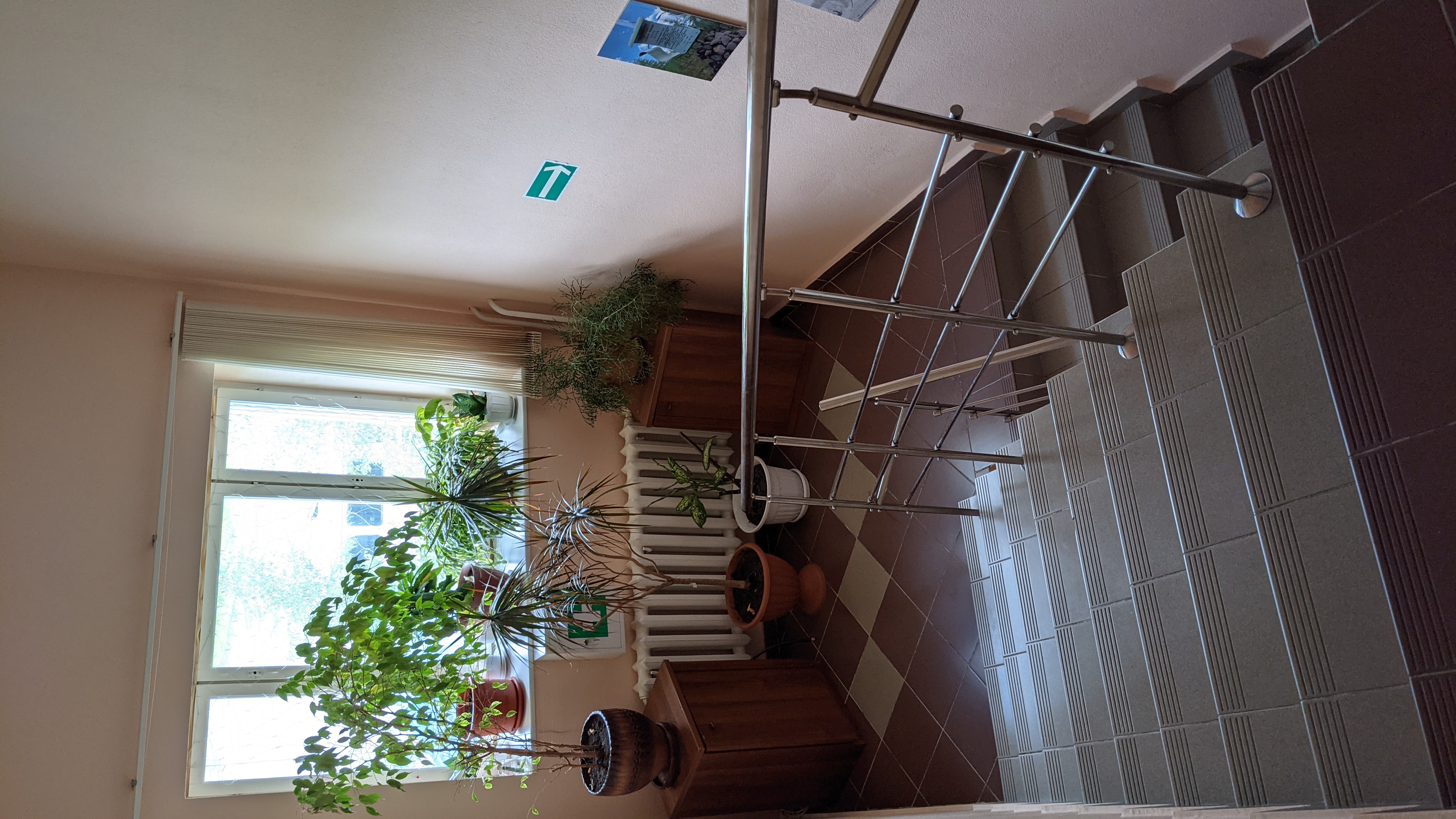 Фото Гостиный двор