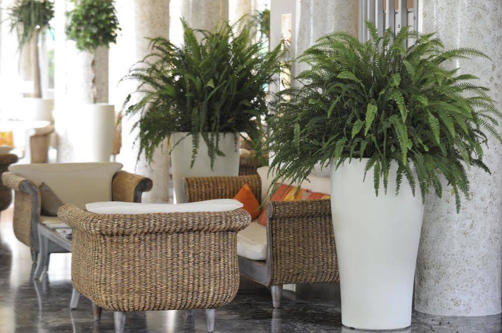 Фото American Hotel