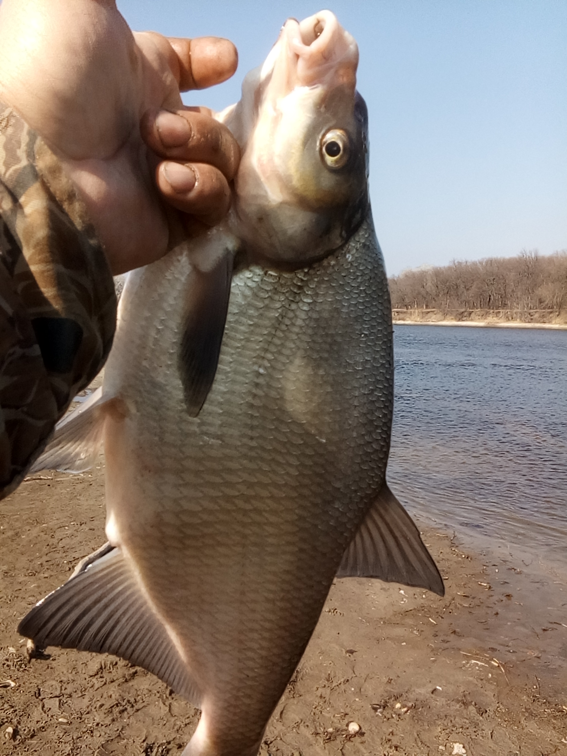 Фото Автомобилист