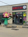 Any Rose (posyolok gorodskogo tipa Misaylovo, Volodarskoye shosse, 1), flower shop