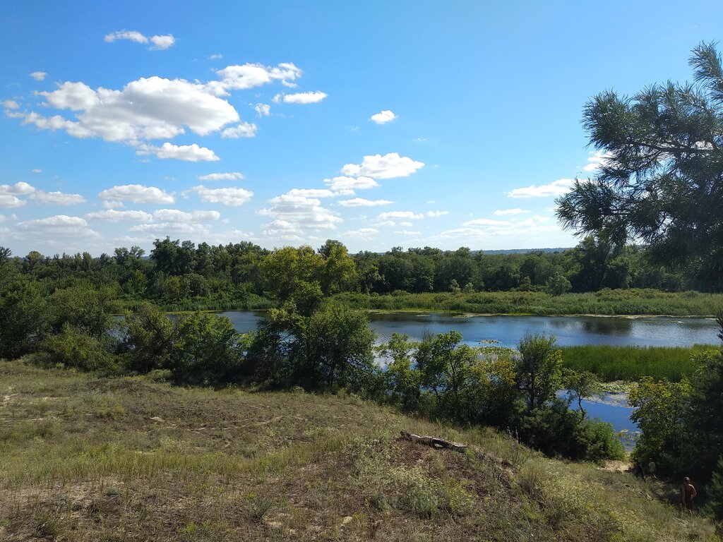 Nature reserve Днепровско-Орельский природный заповедник, Dnipropetrovsk Region, photo