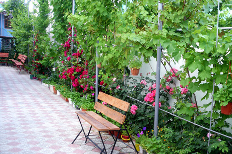 Фото Дольче Вита