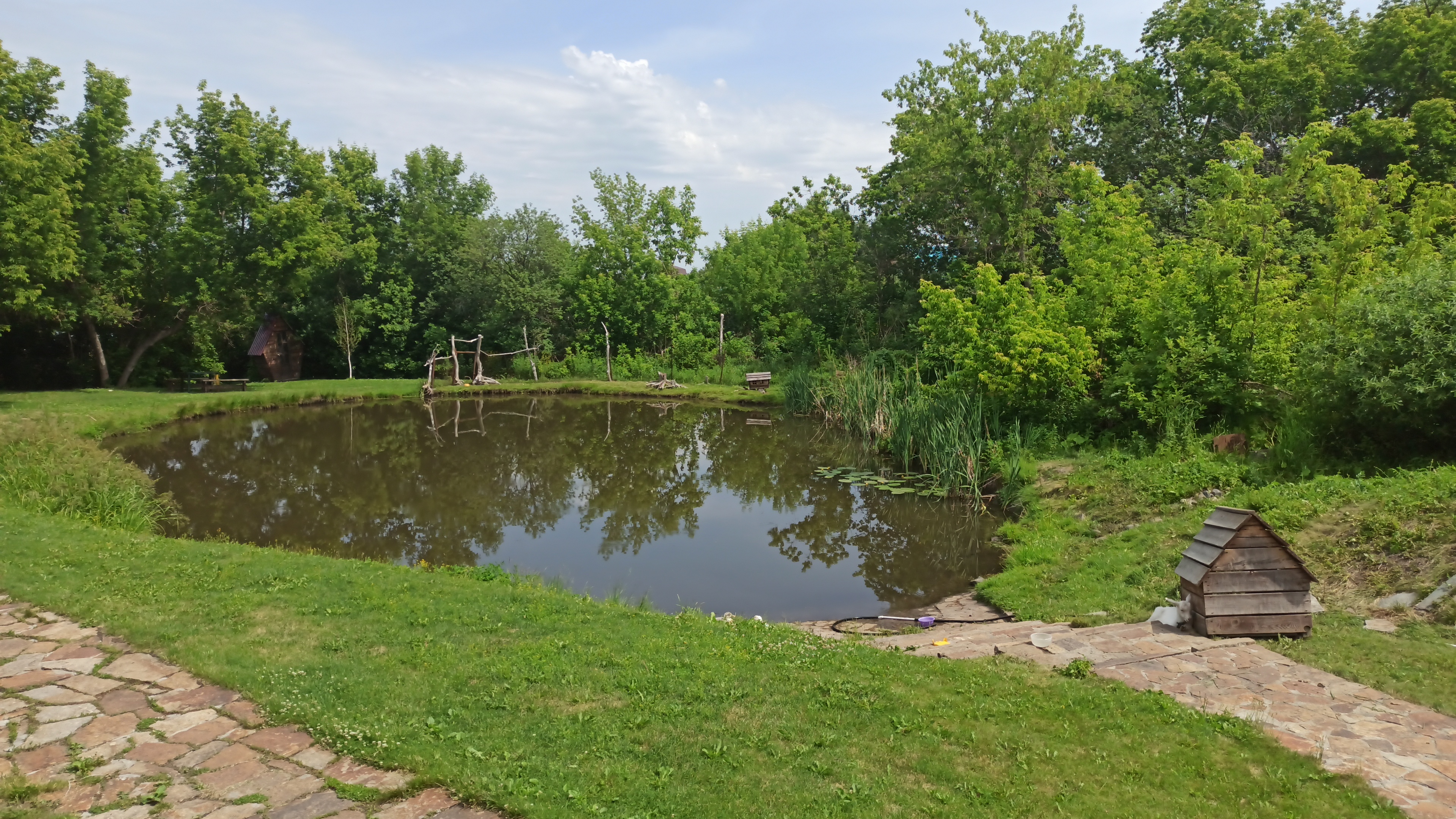 Фото Ковчег