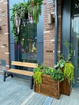 Tree O’flo (Mantulinskaya Street, 9к1), flowers and bouquets delivery