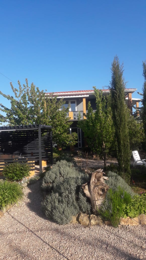 Фото Шардоне