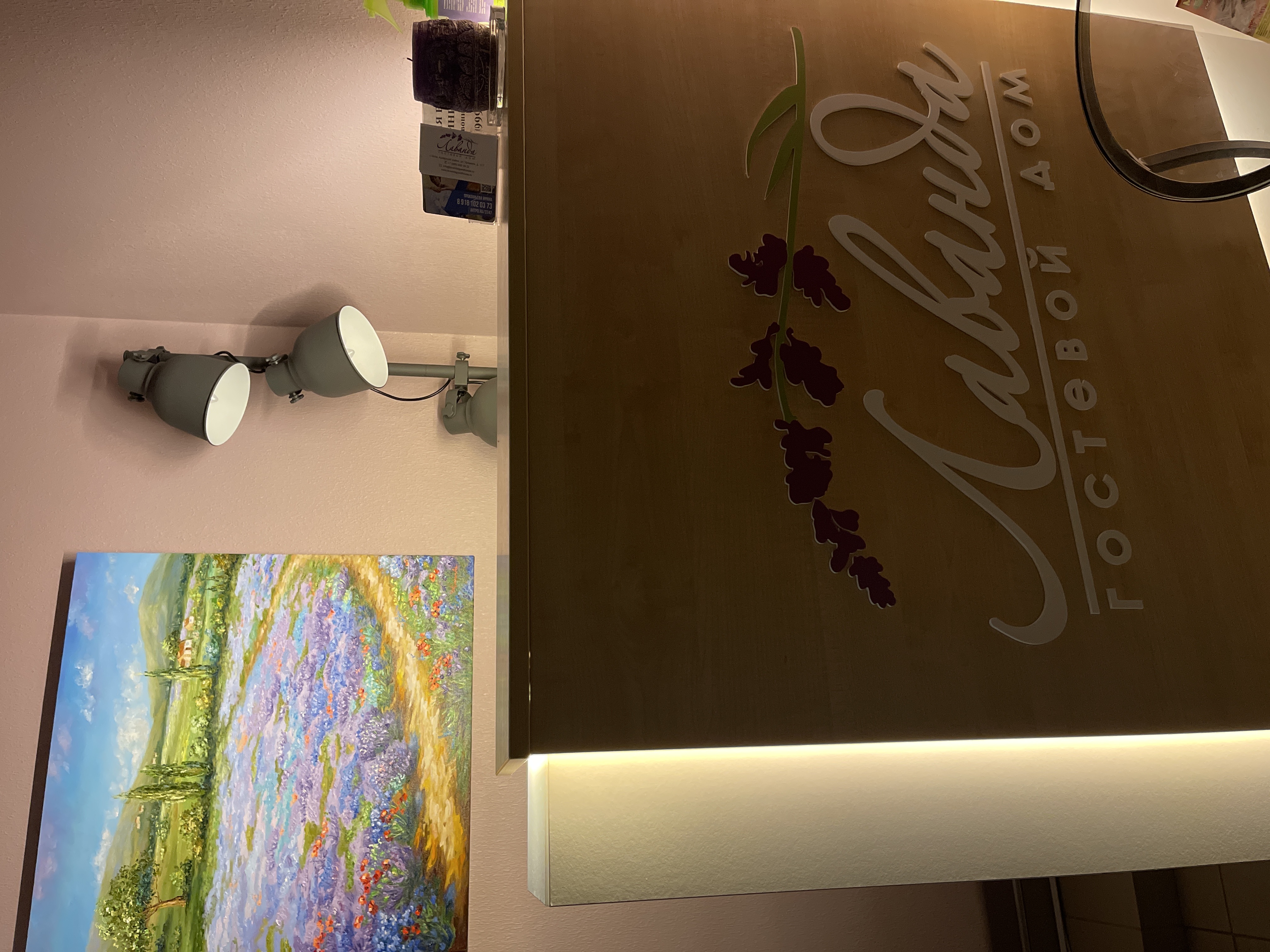 Фото Лаванда