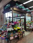 Magnoliya (gorodskoy okrug Chelyabinsk, Tsentralniy District, ploshchad MOPRa, 8), flower shop