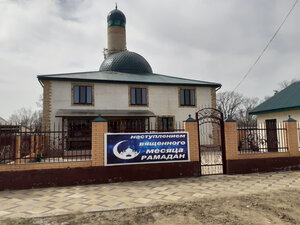 Мечеть (Republic of Daghestan, Nogayskiy rayon, selo Nariman), mosque