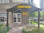 Chempion (Mamyr-1 shaǵyn aýdany, 29/6), sports club