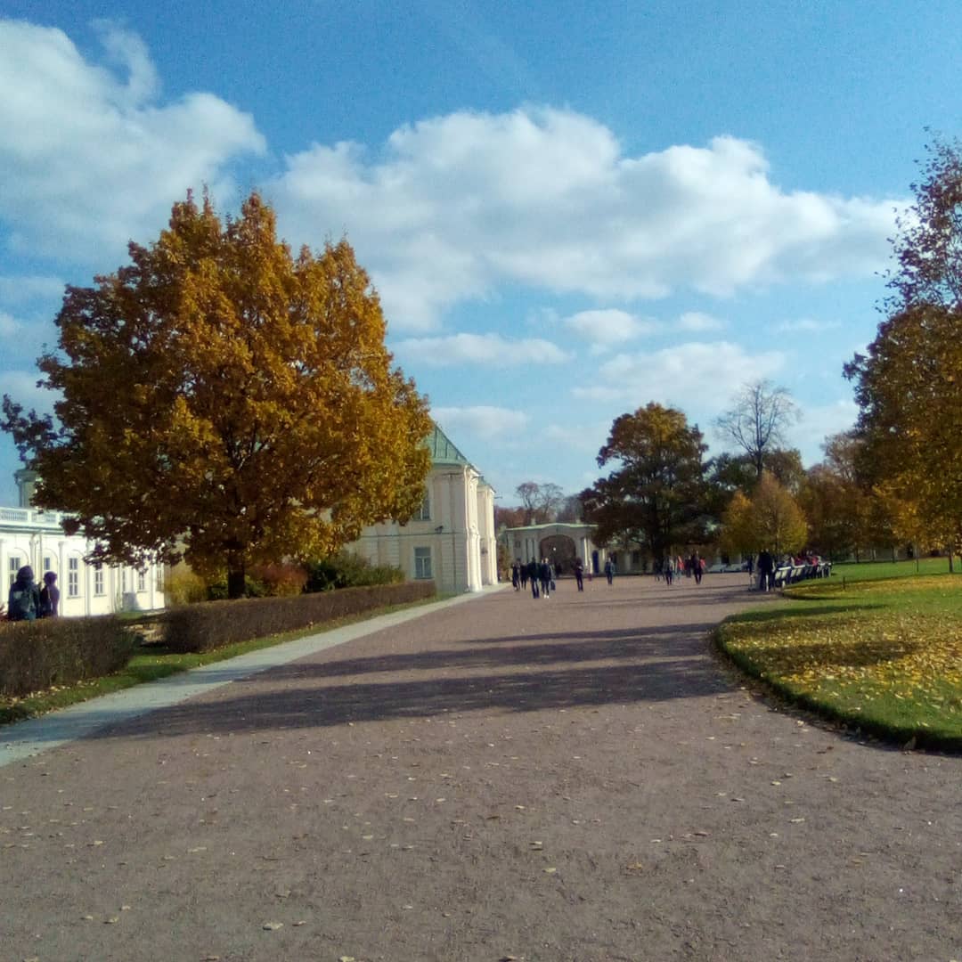 Фото Кают-компания