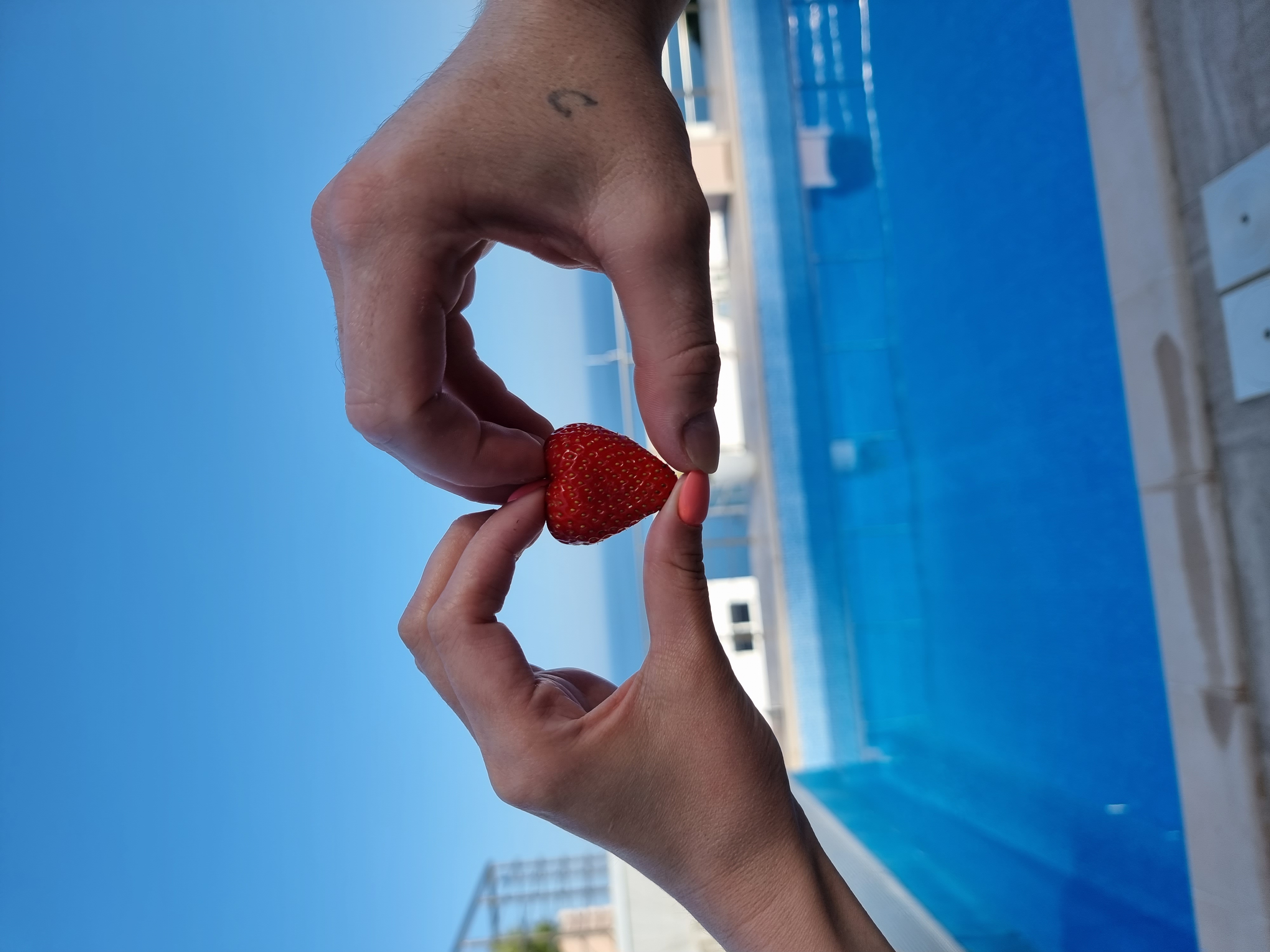 Фото Royal villa 2021