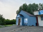 Ника (Nizhniy Novgorod Region, selo Bolshoye Boldino, Vostochnaya ulitsa), grocery