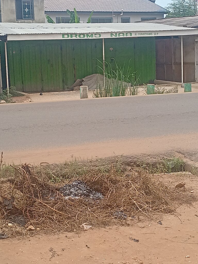 Marketing services Dromo naa, Earth, photo